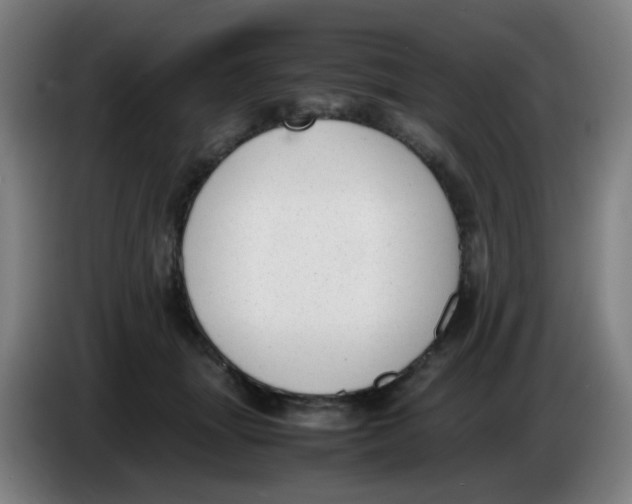 X0000085250463200703301814