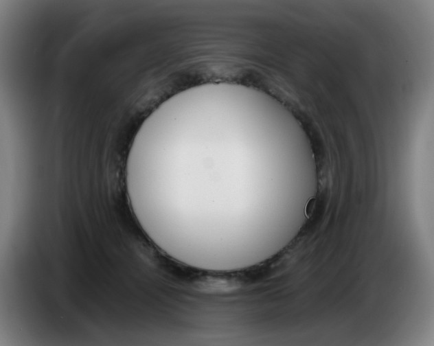 X0000085250464200703301814