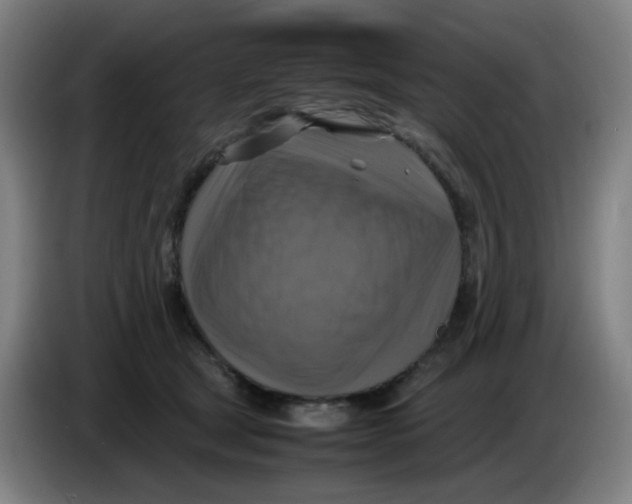 X0000085250465200703301814