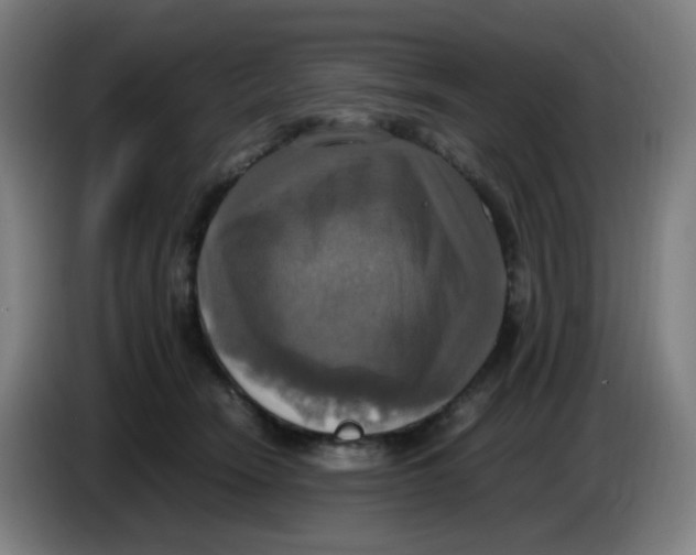 X0000085250466200703301814