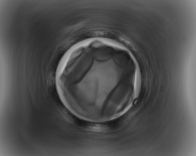 X0000085250467200703301814