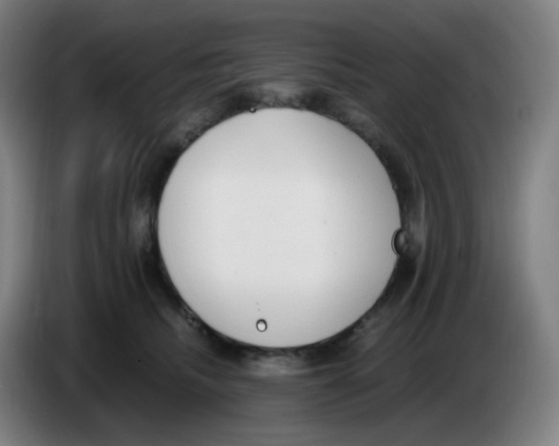 X0000085250468200703301814