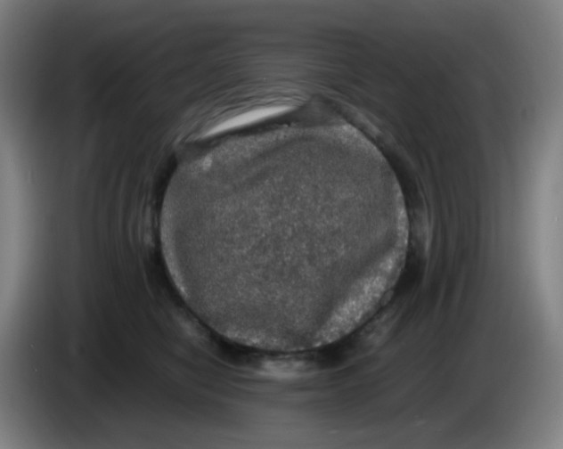 X0000085250470200703301814