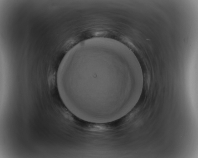 X0000085250475200703301814