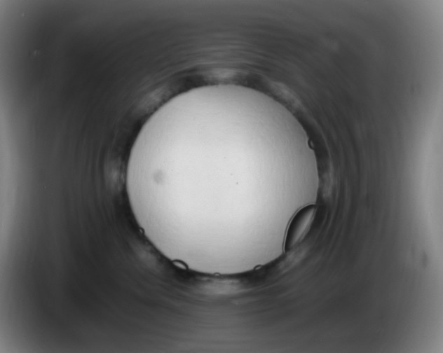 X0000085250476200703301814