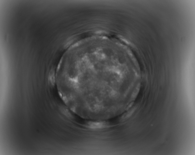 X0000085250479200703301814