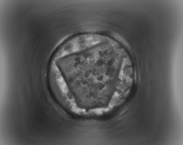 X0000085250483200703301813