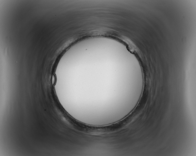 X0000085250485200703301813