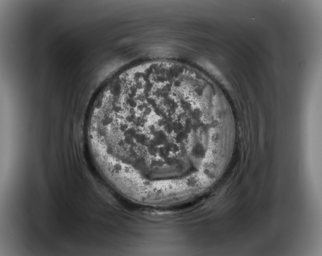 X0000085250487200703301813