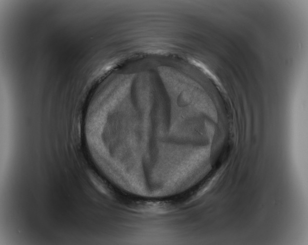 X0000085250493200703301813