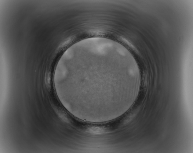 X0000085250494200703301813