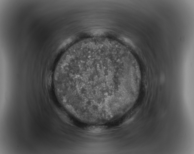 X0000085250495200703301813