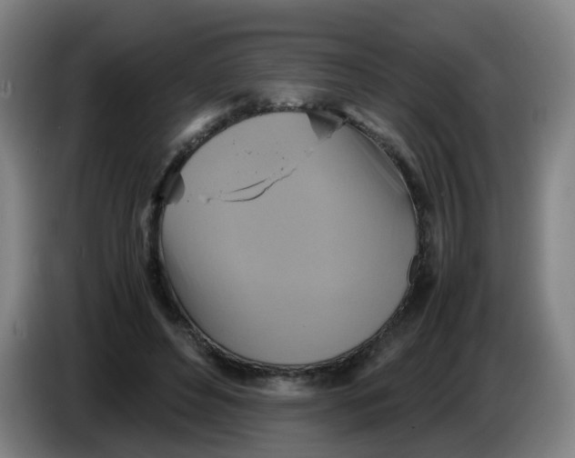 X0000085250496200703301813