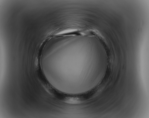 X0000085250500200703301813