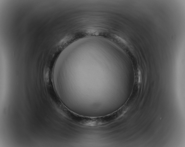 X0000085250504200703301813