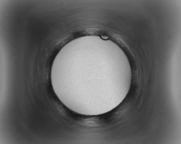 X0000085250505200703301813