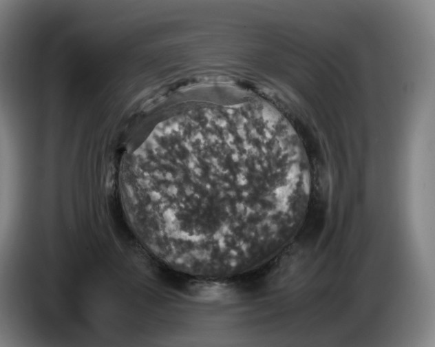 X0000085250507200703301813