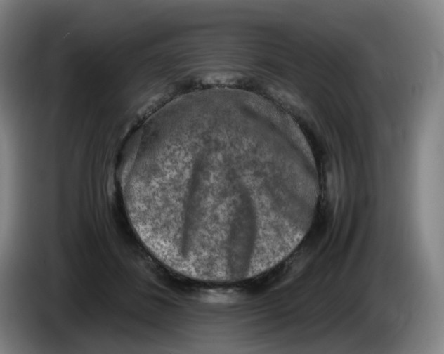 X0000085250508200703301813