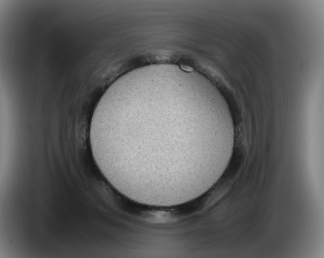 X0000085250509200703301813