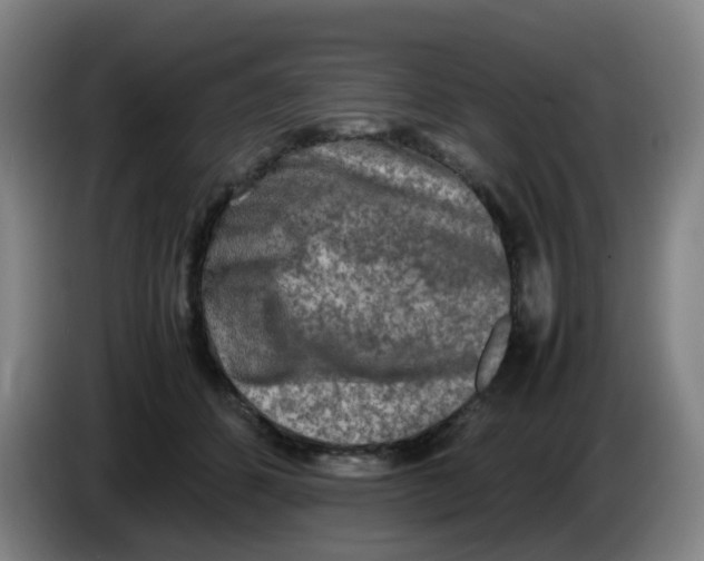 X0000085250512200703301813