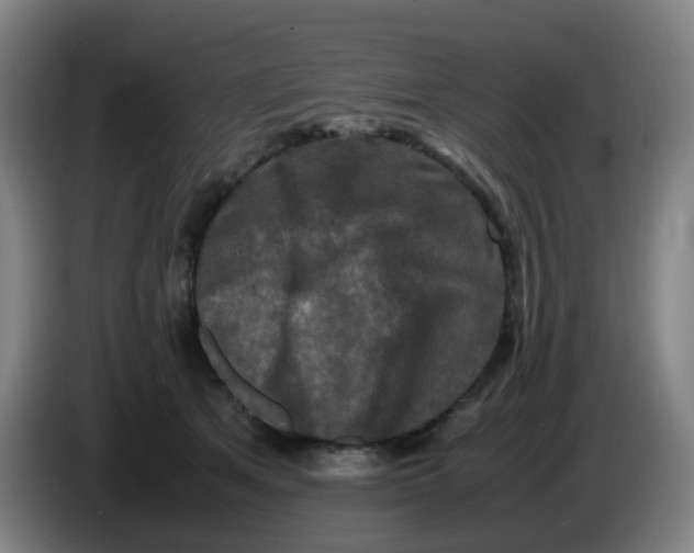 X0000085250513200703301813