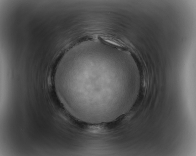 X0000085250516200703301813