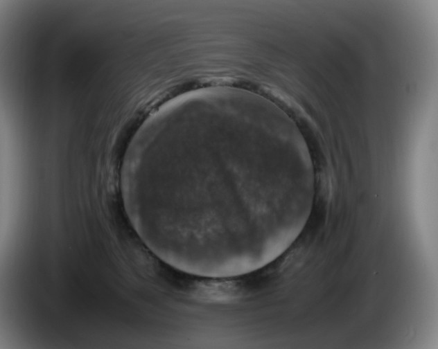 X0000085250517200703301813