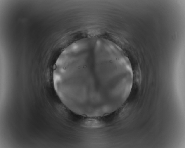 X0000085250519200703301813