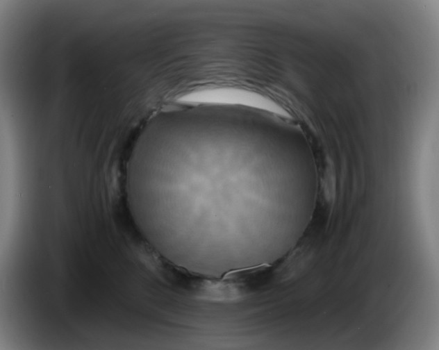 X0000085250520200703301813