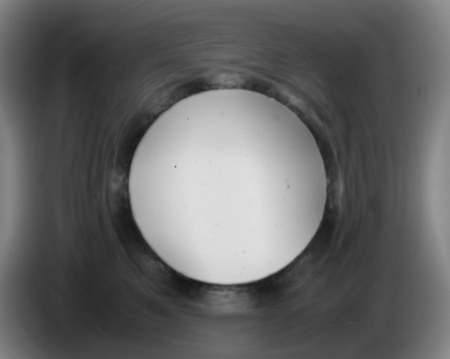 X0000085250521200703301813