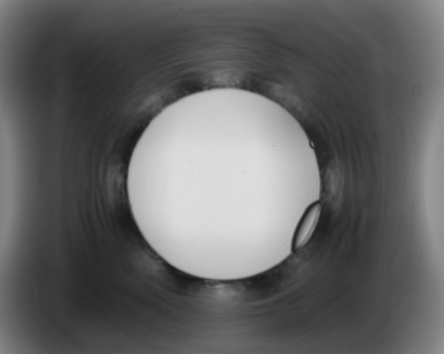 X0000085250522200703301813