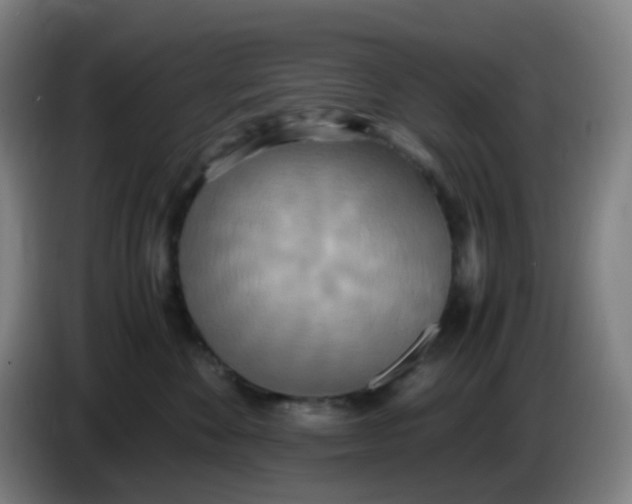 X0000085250524200703301813