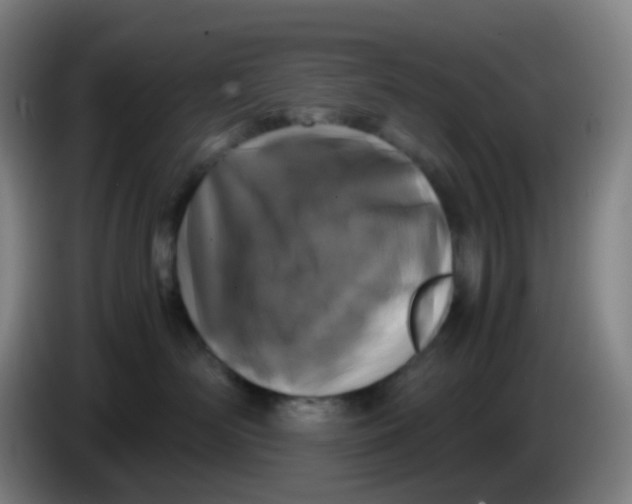 X0000085250526200703301813