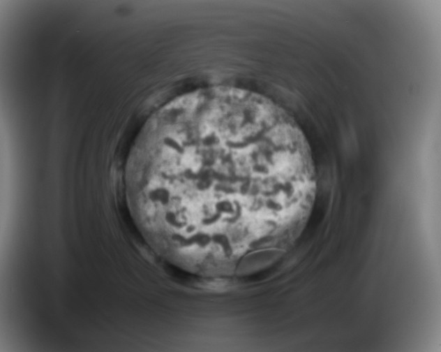 X0000085250527200703301813