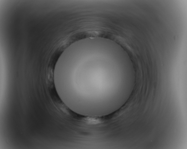 X0000085250528200703301813