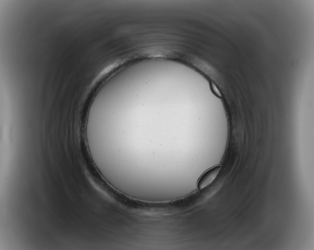 X0000085250530200703301812