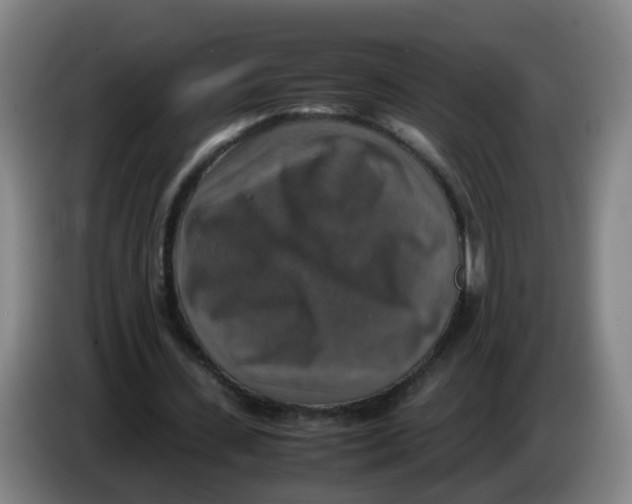 X0000085250531200703301812