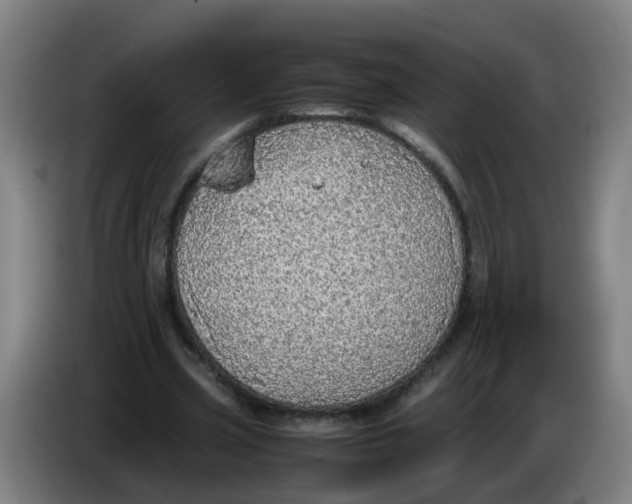 X0000085250533200703301812