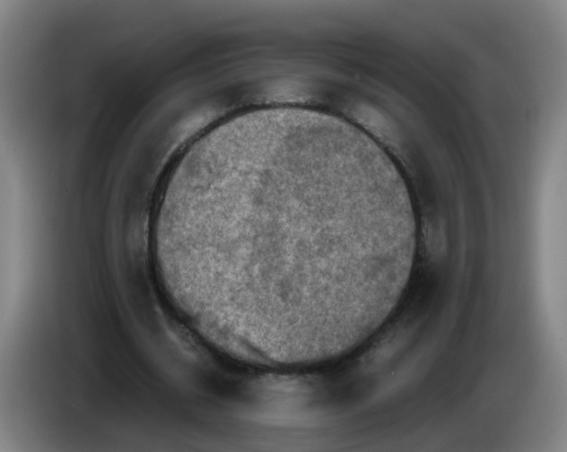 X0000085250534200703301812