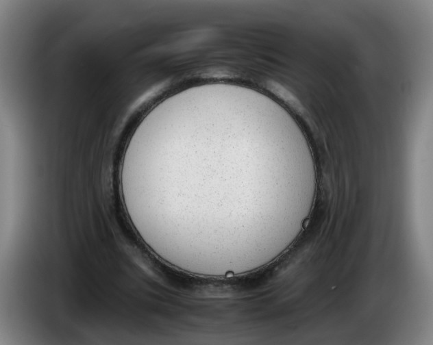 X0000085250535200703301812