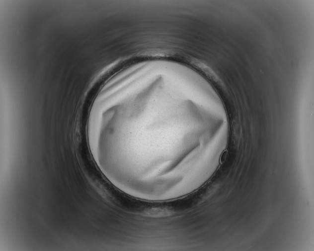 X0000085250536200703301812