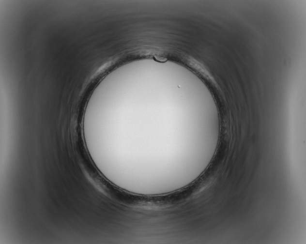 X0000085250538200703301812