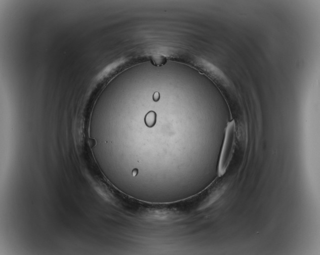 X0000085250540200703301812