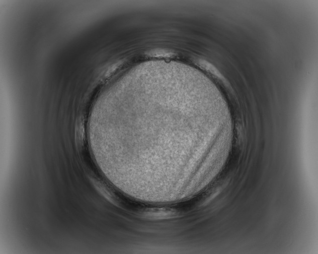 X0000085250541200703301812