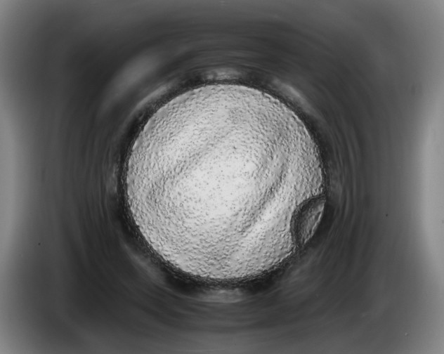 X0000085250543200703301812