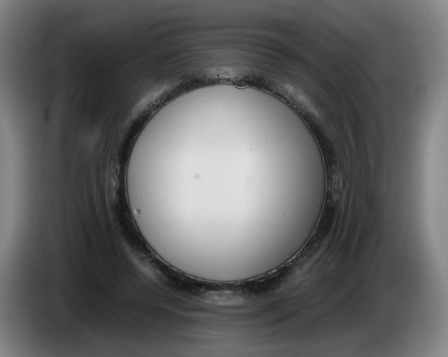 X0000085250544200703301812