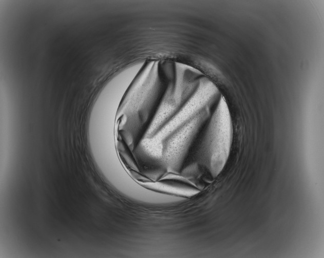 X0000085250546200703301812