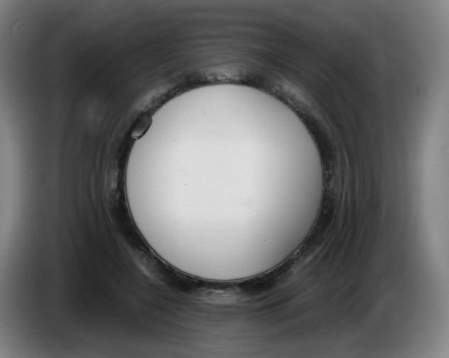 X0000085250548200703301812