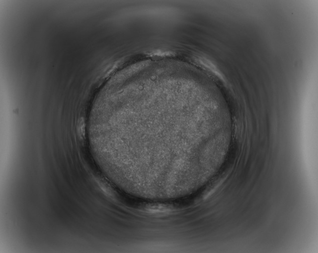 X0000085250549200703301812