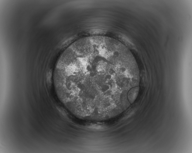 X0000085250550200703301812